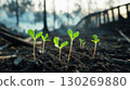 plants ground background forest soil closeup bridge green 130269880