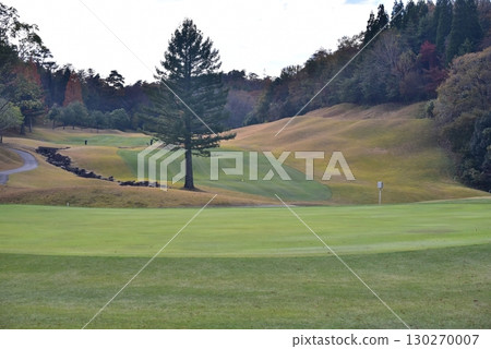 Golf course Golf course 130270007