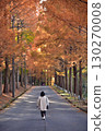 A woman walking along a metasequoia-lined street dyed in autumn leaves 130270008