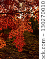 Landscape with autumn leaves 130270010
