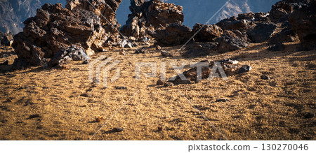 Volcanic landscape with basalt rocks, stones and sand, a volcano terrain at sunset. Volcanic landscape with basalt rocks, stones and sand, a volcano terrain at sunset. 130270046