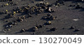 Black lava formations, basalt rocks closeup at the foot of a volcano. 130270049