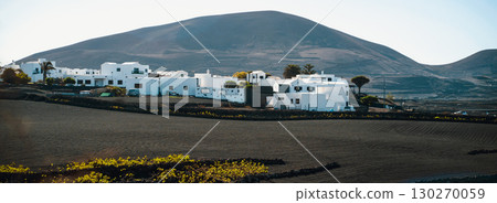 Small town and vineyards with growing grapes on the black volkanic soil of Lanzarote island. Small town and vineyards with growing grapes on the black volkanic soil of Lanzarote island. 130270059