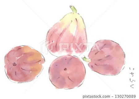 夏季至秋季植物、無花果的水彩插圖 夏季至秋季植物、無花果的水彩插圖 130270089