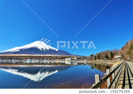 山梨縣、山中湖和藍天下的富士山 130270169