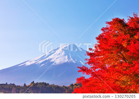 Autumn leaves and Mt. Fuji 130270205