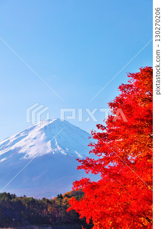 秋葉和富士山 秋葉和富士山 130270206