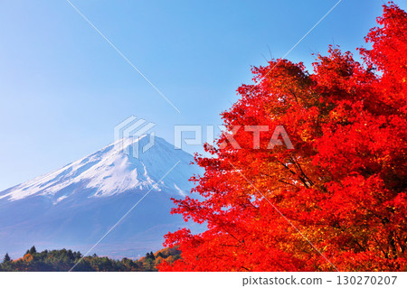 秋葉和富士山 130270207