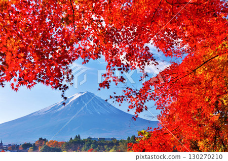 秋葉和富士山 130270210