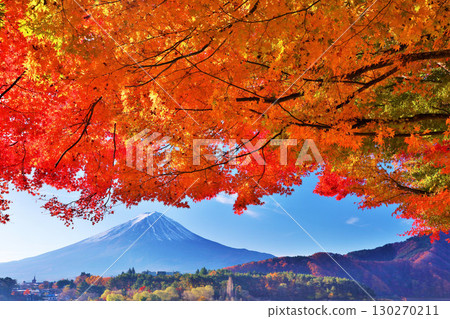 秋葉和富士山 130270211