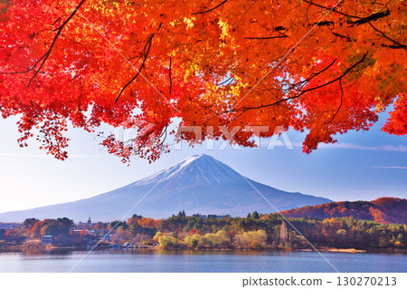 Autumn leaves and Mt. Fuji Autumn leaves and Mt. Fuji 130270213