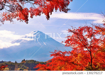 秋葉和富士山 130270217