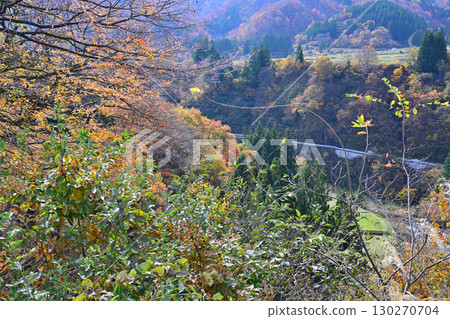 Autumn scenery near the entrance to Kiyotsu Gorge, view from National Route 353, Tokamachi City, Niigata Prefecture 130270704