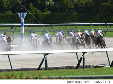 酷暑中的中京泥地賽 130271121
