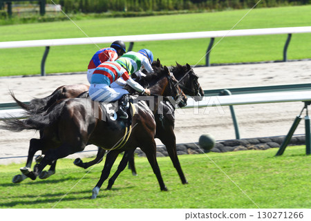 Thoroughbreds race hard in the scorching heat of Chukyo 130271266