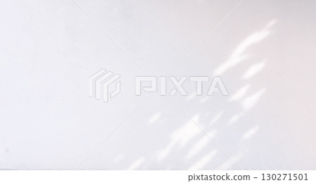 Plant shadow light sunshine 130271501