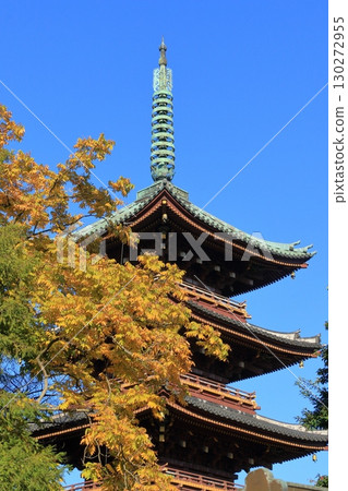東京旅遊勝地上野的黃葉和五重塔 130272955