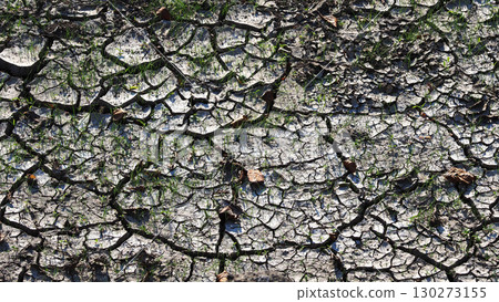 缺水 缺水 130273155