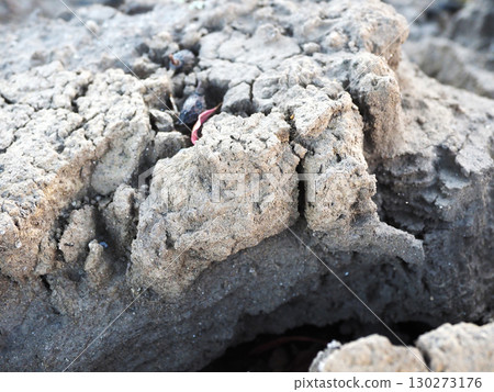 water shortage water deficit 130273176