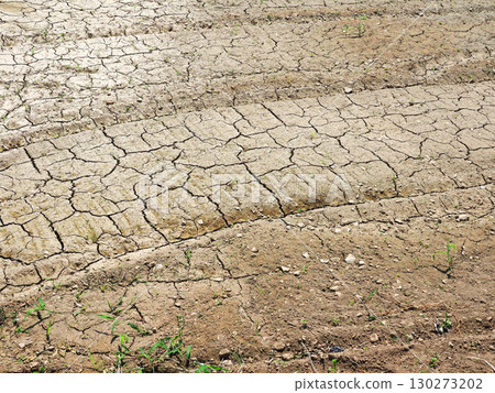 缺水 缺水 130273202