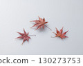 Autumnal maple leaves 130273753