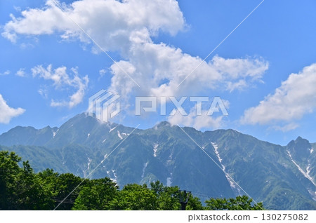 從白馬五龍高山植物園眺望北阿爾卑斯山的夏季風景 從白馬五龍高山植物園眺望北阿爾卑斯山的夏季風景 130275082