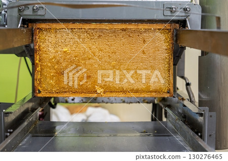 Honeycomb Frame Ready for Extraction A Golden Harvest of Natural Sweetness Awaits. 130276465