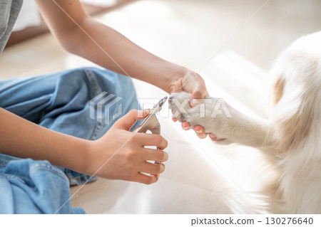 修剪黃金獵犬的指甲(寵物照顧) 修剪黃金獵犬的指甲(寵物照顧) 130276640