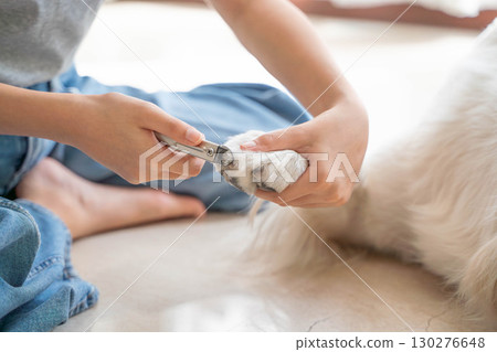 修剪黃金獵犬的指甲（寵物照顧） 130276648