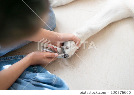 修剪黃金獵犬的指甲（寵物照顧） 130276660