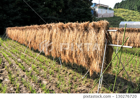 Landscape with ined rug 130276720