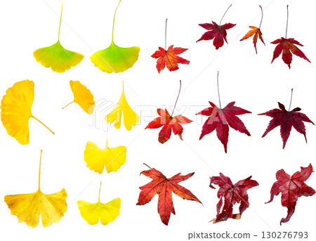 Cutout material set - Autumn leaves 1 130276793