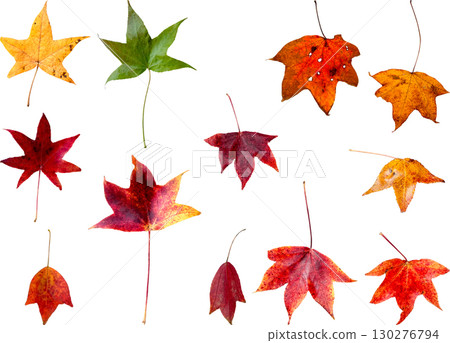 剪紙材質套裝-秋葉 2 130276794