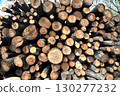 Stacked firewood 130277232