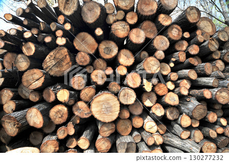 堆積的木柴 130277232