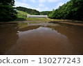 Rice field with water 130277243