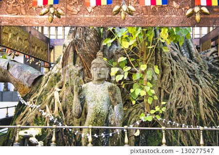 Spectacular view of Gangaramaya Temple in Colombo Spectacular view of Gangaramaya Temple in Colombo 130277547