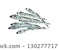 乾沙丁魚插圖 130277717
