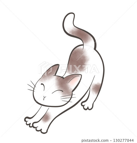 Spreading cats 130277844