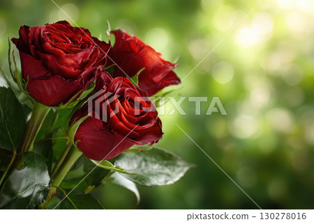Close-up view of red rose petals with soft green background Close-up view of red rose petals with soft green background 130278016