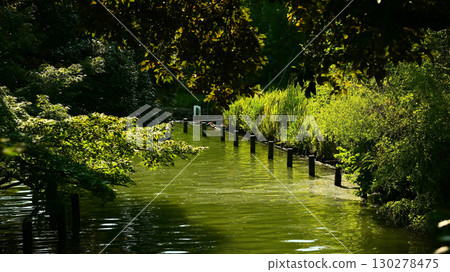 洗過的池塘 130278475