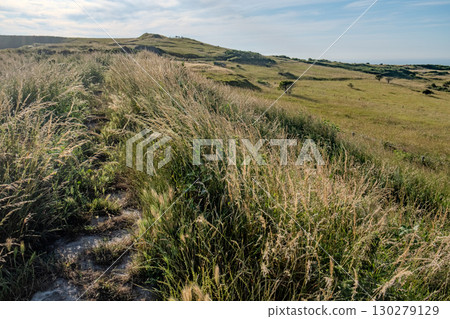 Cap Blanc-Nez, Escalles, Pas-de-Calais, Hauts-de-France, France, July 29th, 2025, A Serene Hillside 130279129