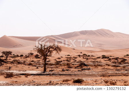 Desert landscape near Sossusvlei 130279132