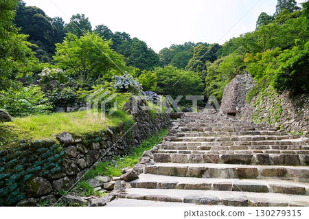 Shiga, Omihachiman, Azuchi Castle, stone steps of Ote-michi (near the site of the Maeda residence) (summer) 130279315