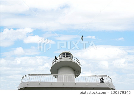 和歌山市西風崎燈塔和一隻鷹（從東方，初夏） 130279345