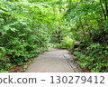 The approach to Takao-san Yakuo-in Temple, Hachioji City, Tokyo, surrounded by greenery 130279412
