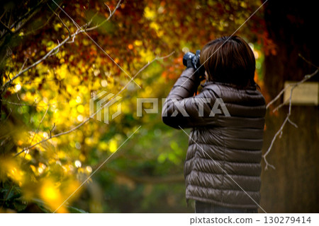 <Material> 一位女士在秋葉林蔭道上拍照 <Material> 一位女士在秋葉林蔭道上拍照 130279414
