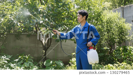 Gardener worker disinfecting trees in the garden 130279465