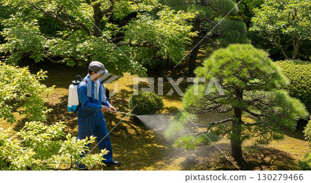 Gardener worker disinfecting trees in the garden 130279466