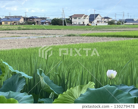 國家景觀 國家景觀 130279478